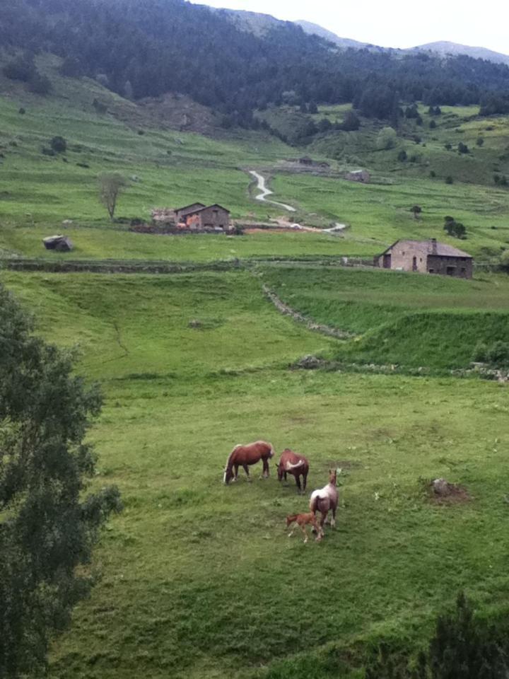 L'oreneta - Peu Del Riu 712 - Vall D'incles - Soldeu Incles
